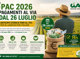 Pac 2026, pagamenti al via dal 26 luglio: anticipo storico fino al 75% per gli agricoltori
