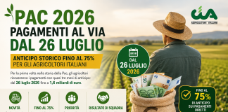 Pac 2026, pagamenti al via dal 26 luglio: anticipo storico fino al 75% per gli agricoltori