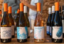 Formentera oltre il mare: vigne, vini e la storia della cantina Terramoll a La Mola
