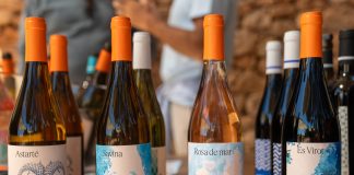 Formentera oltre il mare: vigne, vini e la storia della cantina Terramoll a La Mola