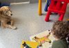 Purina e Frida’s Friends insieme per la pet therapy