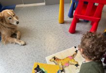 Purina e Frida’s Friends insieme per la pet therapy