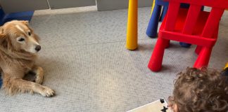 Purina e Frida’s Friends insieme per la pet therapy