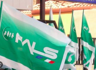 ASP Lombardia, FIALS: “Bene il riconoscimento giuridico, ora servono risorse e rilancio”
