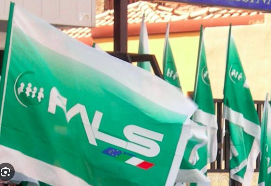 ASP Lombardia, FIALS: “Bene il riconoscimento giuridico, ora servono risorse e rilancio”