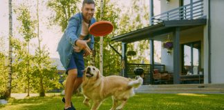 Caldo estivo e cani: i consigli dei veterinari per proteggerli dal colpo di calore