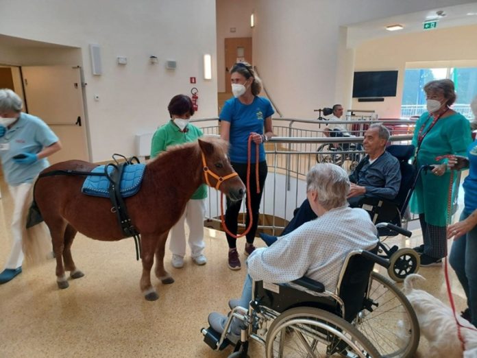 vidas_pet_therapy_trilly_1 (1)