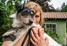 Milano sempre più pet-friendly: un milanese su due considera il proprio cane come un figlio