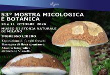 Milano, torna la Mostra Micologica e Botanica