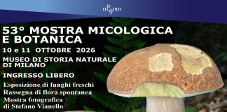 Milano, torna la Mostra Micologica e Botanica