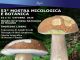 Milano, torna la Mostra Micologica e Botanica