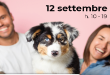 Piazza Portello, settembre tra Quattrozampeinfiera e Luna Park: due eventi gratuiti per famiglie