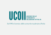 UCOII: «La responsabilità è individuale, non si accusi un’intera comunità religiosa»