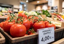 Pomodori, dal campo al supermercato il prezzo quasi raddoppia: Codici Lombardia chiede trasparenza