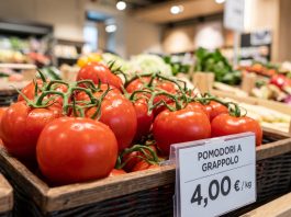 Pomodori, dal campo al supermercato il prezzo quasi raddoppia: Codici Lombardia chiede trasparenza