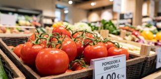 Pomodori, dal campo al supermercato il prezzo quasi raddoppia: Codici Lombardia chiede trasparenza