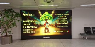 Plant Health 4 Life a Malpensa e Linate: la campagna europea sulla salute delle piante parla ai viaggiatori