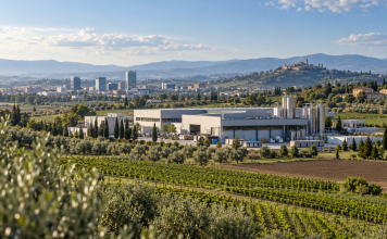 BEI e Gruppo BCC Iccrea: 125 milioni per finanziare PMI e Mid-Cap
